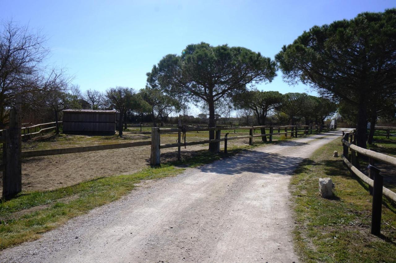 Gites Equestres Lou Caloun - Les Saintes Maries De La Mer ภายนอก รูปภาพ