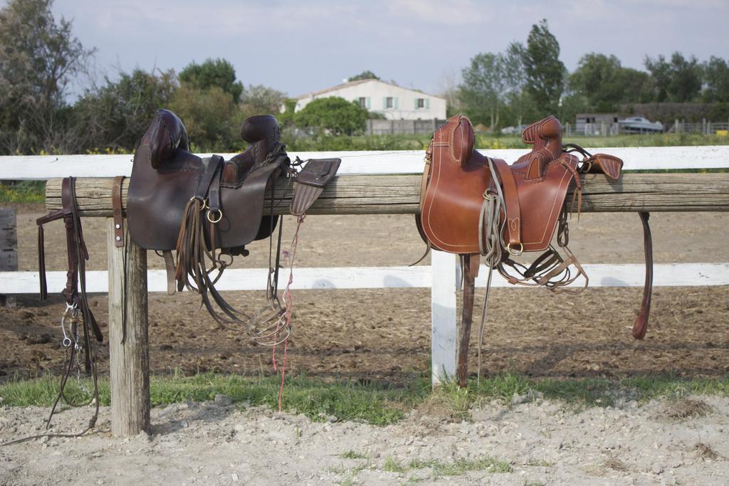 Gites Equestres Lou Caloun - Les Saintes Maries De La Mer ภายนอก รูปภาพ